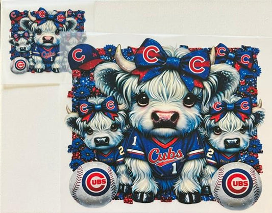 Cubs Bear 2pc set
