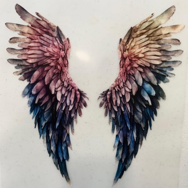 Colorful wings
