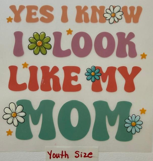 Yes I know I look like my mom