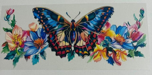 Big Butterfly