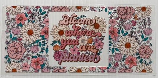 Bloom where you are planted