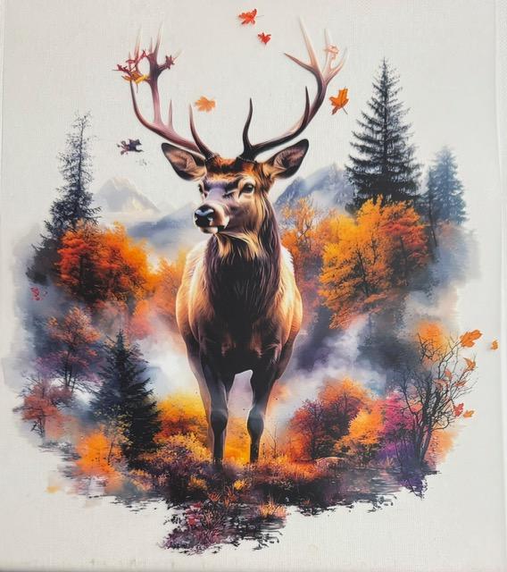 Deer - nature