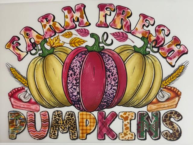 Farm Fresh Pumpkins