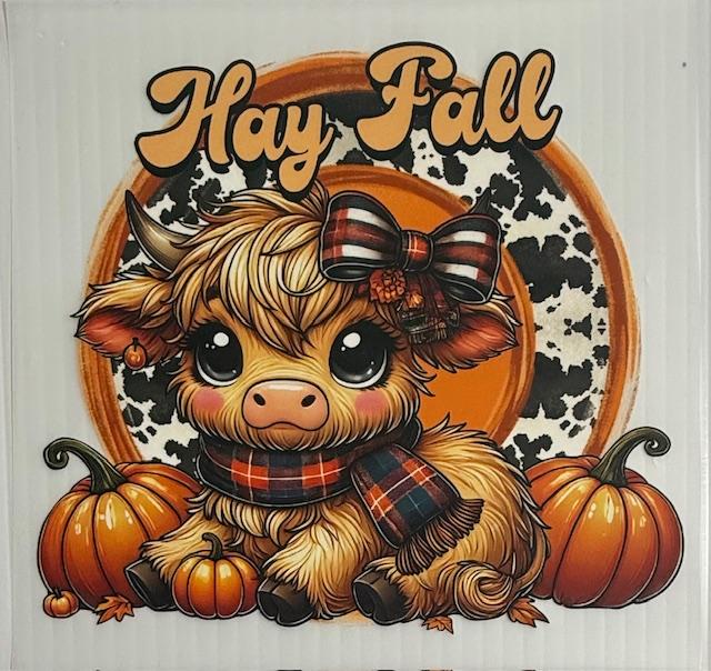 Hay Fall - sitting cow.cow print