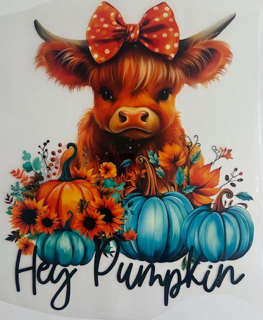 Hey Pumpkin Cow - Fall
