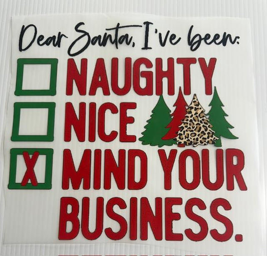 Dear Santa, I've been: Naughty/Nice/mind your business