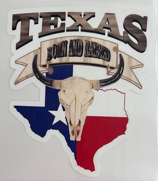 TEXAS born & raised