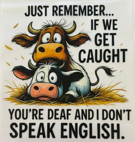 Cow - If we get caught, you're deaf and I don't speak English