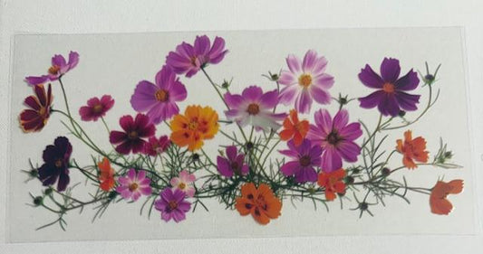 Wildflowers pnk/orange